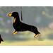 Dachshund ornament- black and tan- in direct sunlight.