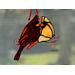 Cardinal Ornament in direct sunlight.
