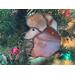 Close up of Poodle Ornament- Apricot- hanging in Christmas Tree.