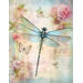 butterfly and dragon fly