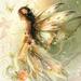 forest fairy 