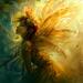 golden sun fairy