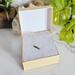 Sterling Silver Emerald Gemstone Necklace in packaging