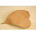 Ceramic leaf tray glazed in light tan with hints of blue with catalpa leaf texture. 7"x9"