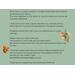 care instruction graphic green background squirrel image and oak roots image