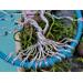 details show wire roots connected to metal hoop as the grounding of the tree curvy twisted roots made from aluminum wire