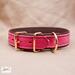 Premium Pet Collar Jon B Leather