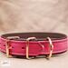 Premium Pet Collar Jon B Leather