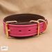 Premium Pet Collar Jon B Leather