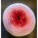 White - Red option