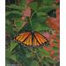 Monarch Butterfly Painting, "A Sense of Hope"