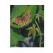 Common Butterfly Painting, "A Sense of Peace"