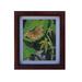 Common Butterfly Painting Framed Art