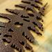 Close up of copper vein powder coat on our 5 digit metal house number sign with pine trees.