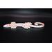 Side view of 3D salamander and hand painted dot art