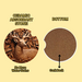 Ceramic absorbant stone, no more water stains. cork pad is attached to the bottom to  protect table surfaces