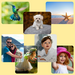 Ideas for images to put on your mousepad. Photo of your favorite pet, your child, favorite vacation photos, wildlife, and more. Add sayings 