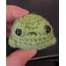 front facing view of an angry green frog