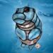 Limited Addition Color Baby Hippo