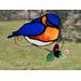 Bluebird suncatcher in direct sunlight.