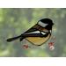 Chickadee Suncatcher in direct sunlight.