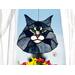 Gray Tabby Maine Coon
