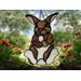 Brown Rabbit
