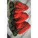 Medium dark orange crochet carrot pouches with dark green top Pouches measure around 5 inches wide at the top and 6 inches long. 