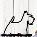 Close up of Scottish Terrier dog silhouette, on our metal sign, in matte black powder coat.
