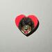 Black Goldendoodle heart tiny magnet
