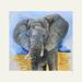 Watercolor painting of a grey African elephant in a field of golden grass and with a blue sky behind it.