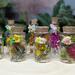 fairy potion, botanical fairy potions, flower potions, miniature fairy potions, apothecary potions, botanical fairy accessory, wedding favor
