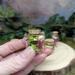 fairy potion, botanical fairy potions, flower potions, miniature fairy potions, apothecary potions, botanical fairy accessory, wedding favor
