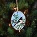 A hand-painted rose-breasted grosbeak Christmas ornament available for purchase exclusively at Cove Creek Photography.
