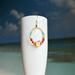 Apple fruit earrings