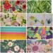 Poppy Floral, Palm Fronds, Pink and Gold Floral, Watercolor Flowers, Fiesta, Island Indigo Floral, Green and Gold Floral, Flowers and Gold