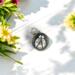 silver ladybug charm