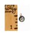 silver ladybug charm