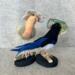 Best friends on a bird holiday together!  Maisy and Maggie