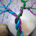 colorful branches splay away from braided trunk 