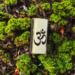 Ohm