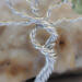 special tree trunk is twisted with a peep hole in the middle givng the look of a potential bird nest