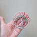 hand display gives a direct indication of the trees compact size