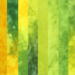 Green and yellow stash bundle of hand dyed fat eighths