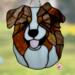 Australian Shepherd shown in Red Tricolor