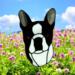 Boston Terrier Stained Glass Suncatcher