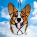 Cardigan Welsh Corgi in Red and White.