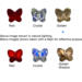 Butterfly Crystals available: Red, Pink, Golden Shadow, Crystal and Copper.