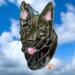 Mudi Stained Glass Suncatcher- black