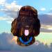 Poodle Stained Glass Suncatcher- chocolate